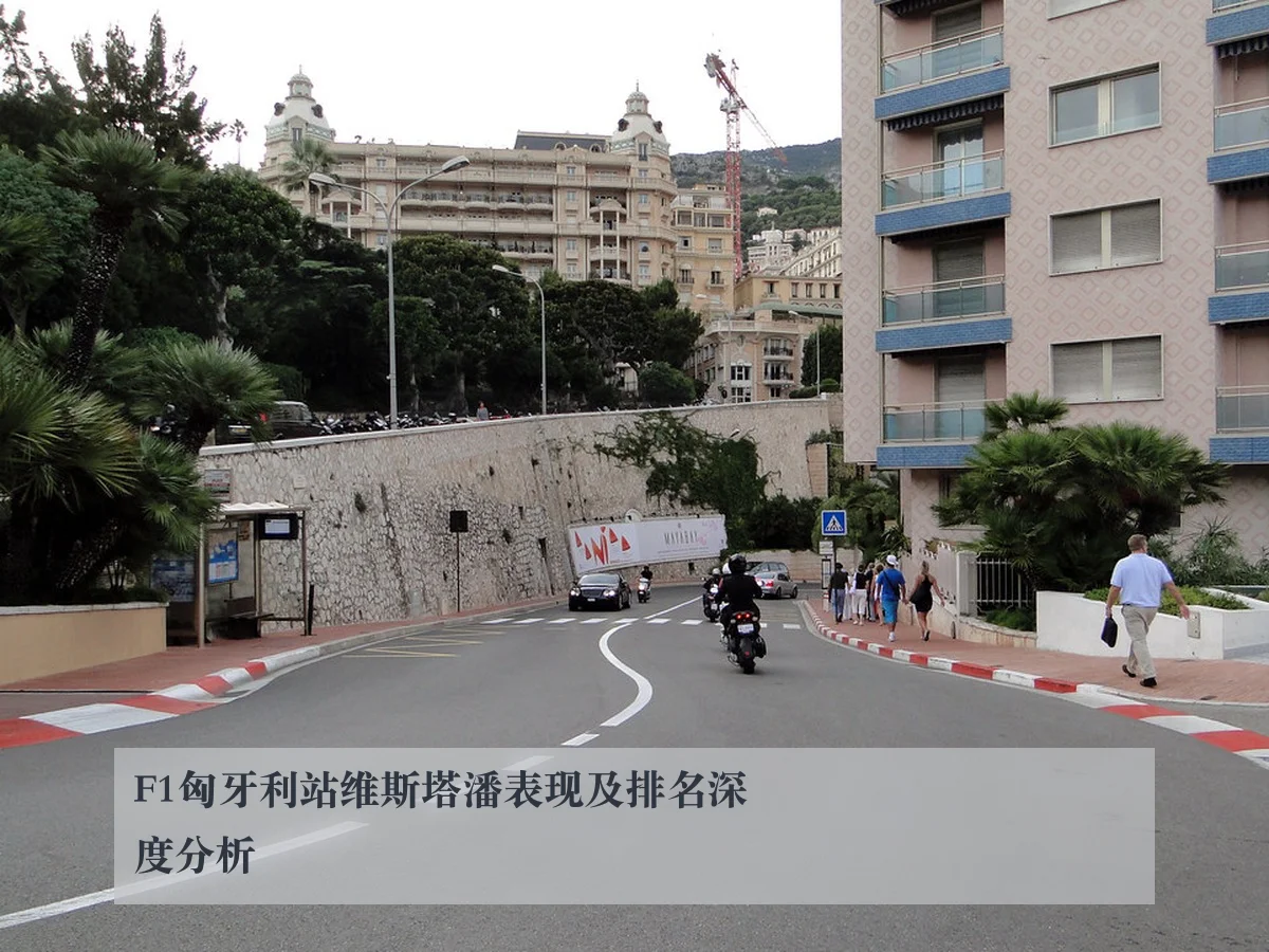 F1匈牙利站维斯塔潘表现及排名深度分析